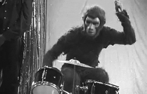 chimp drummer